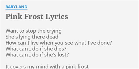 abc/babyland pink frost lyrics
